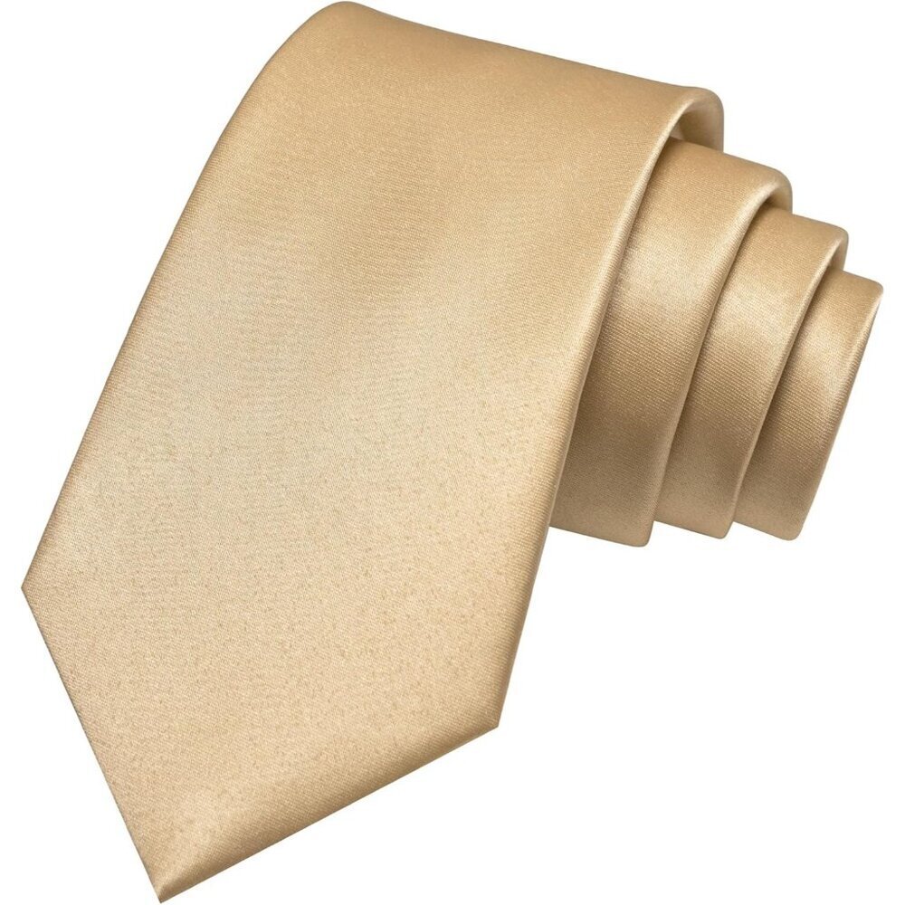 Men's Champagne Solid Pure Color Imported Polyester Formal Neck Ties